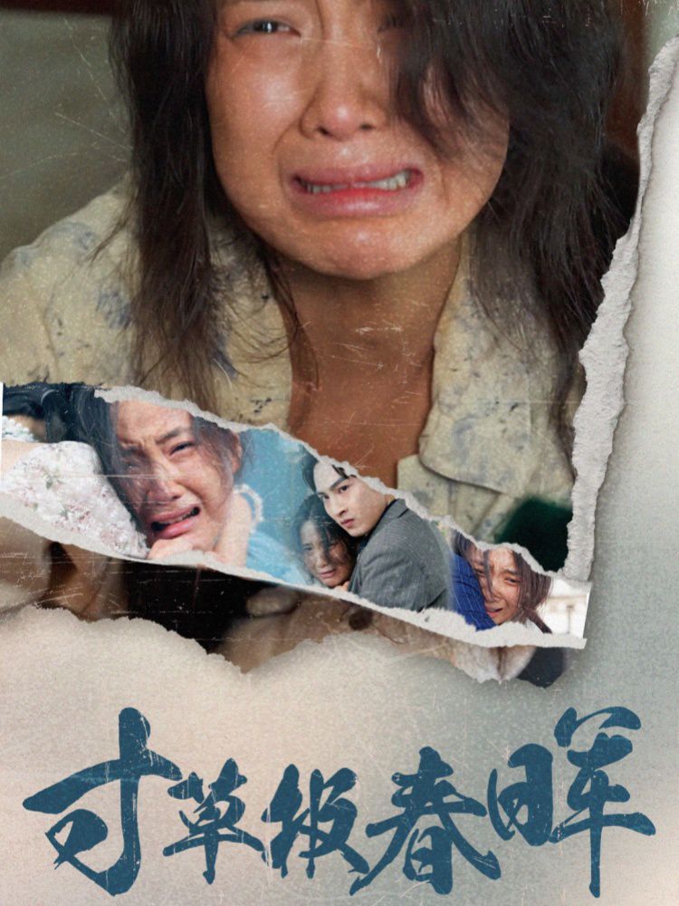 寸草报春晖第21-40集