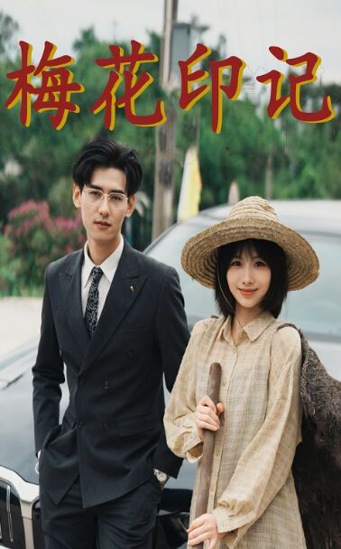 梅花印记第1-20集