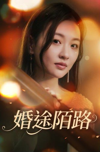 婚途陌路全集完结(大结局)