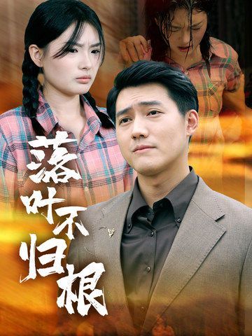 落叶不归根第21-40集