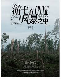 游弋在风暴之中