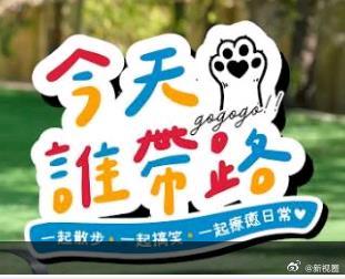 今天谁带路